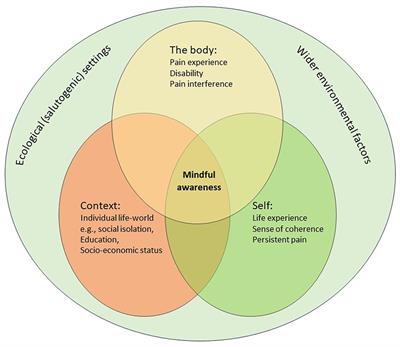 Perspective on salutogenic approaches to persistent pain with a focus on mindfulness interventions
